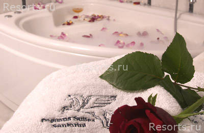 Pegasus Suites 15